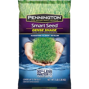 Image for Shop Shade Grass Seed