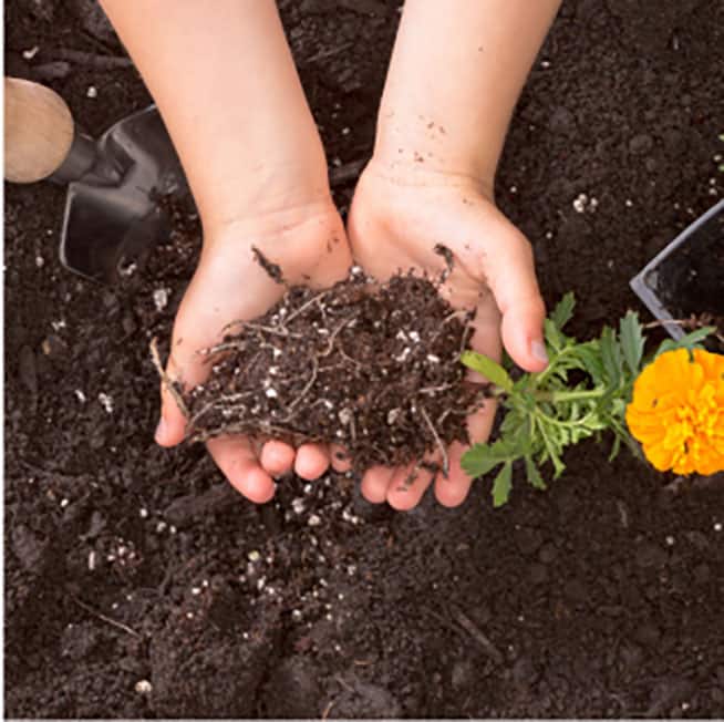 Types of Soil