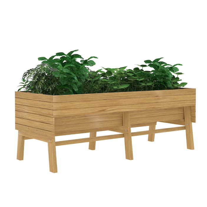 Cedar