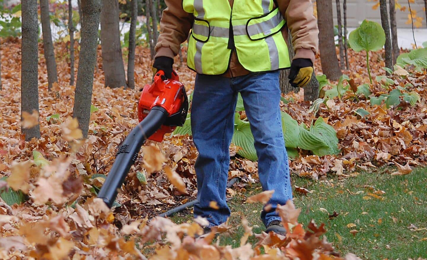 A worker uses a cordless leaf blower to blow away leaves.