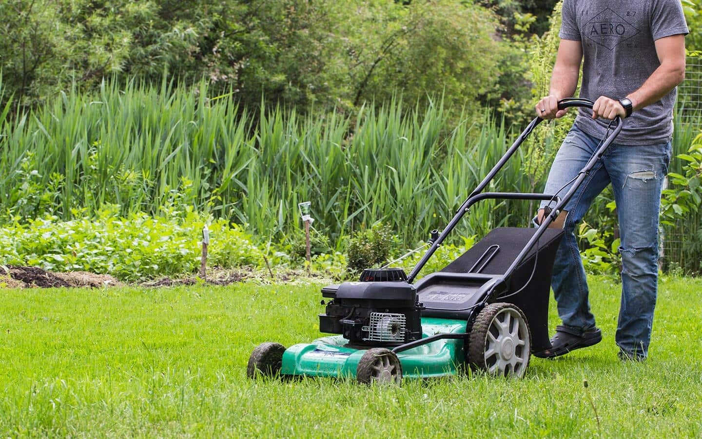 A person cutting grass with a push lawnmower. A person cutting grass with a push lawnmower.