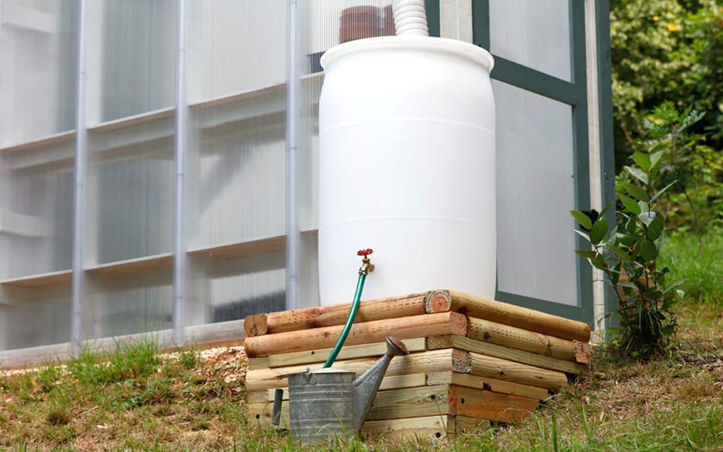 An installed rain barrel with a hose feeding water to a watering can. An installed rain barrel with a hose feeding water to a watering can.