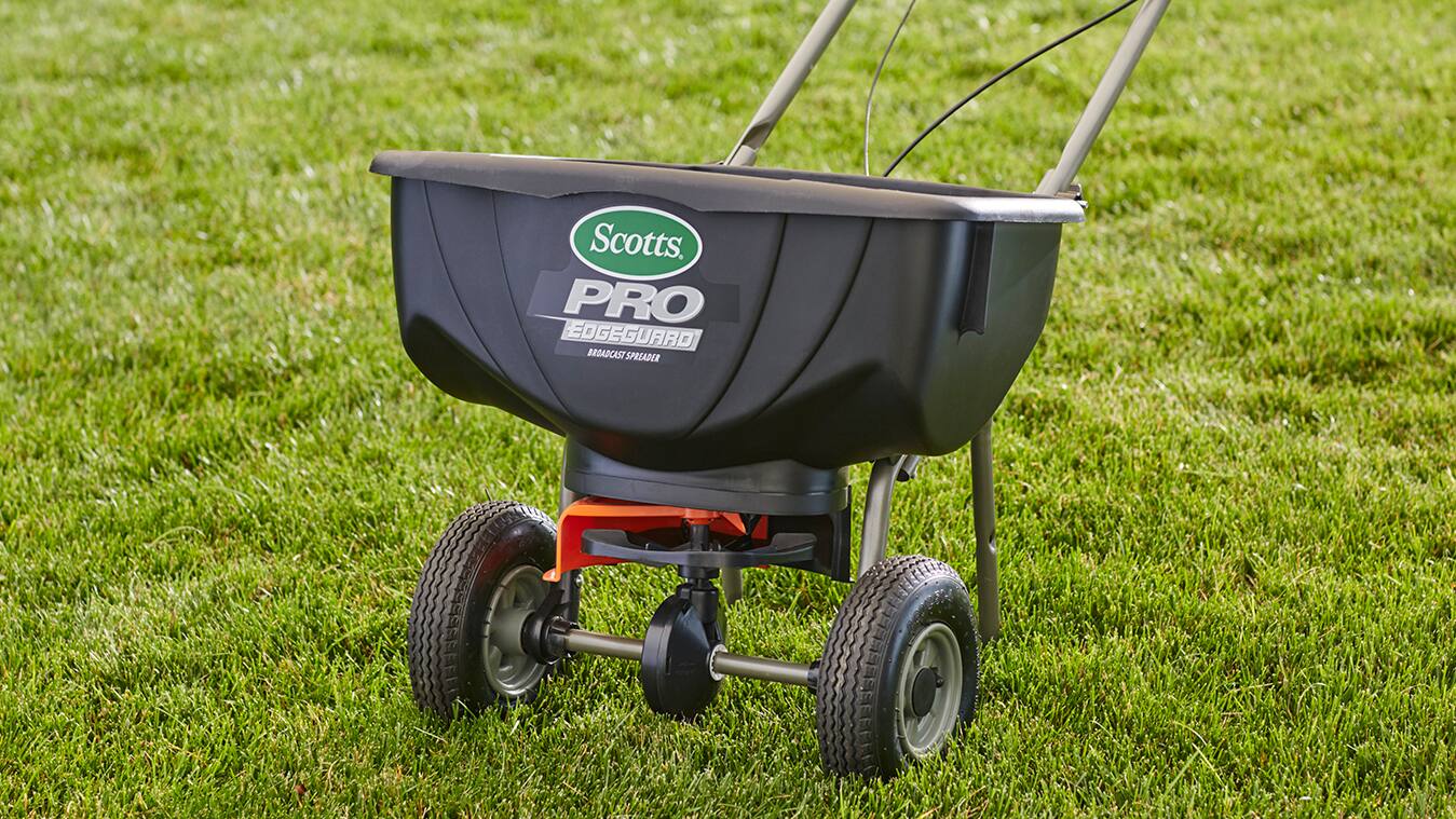 Overseeding a Lawn