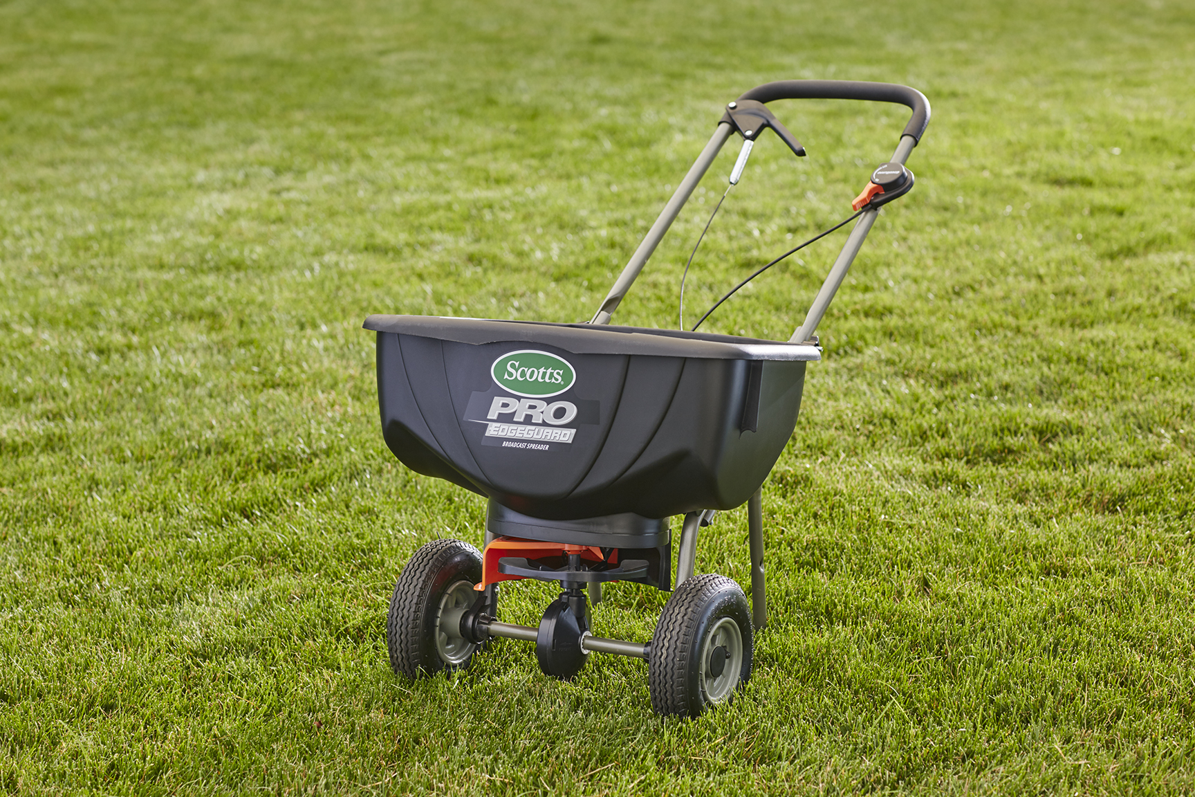 Overseeding a Lawn