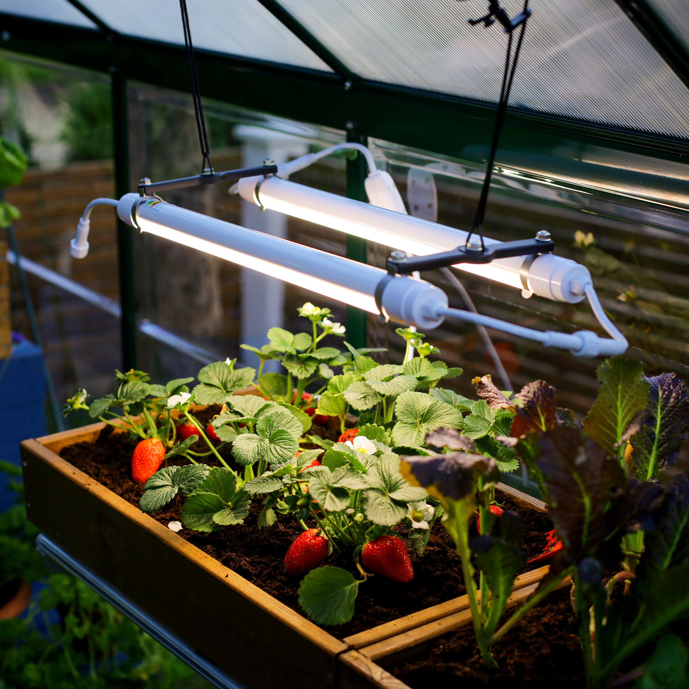 Image for Shop Plant Grow Lights