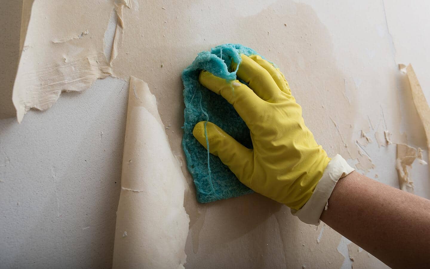 A person wearing gloves uses a wet cloth to remove leftover, sticky wallpaper. A person wearing gloves uses a wet cloth to remove leftover, sticky wallpaper.