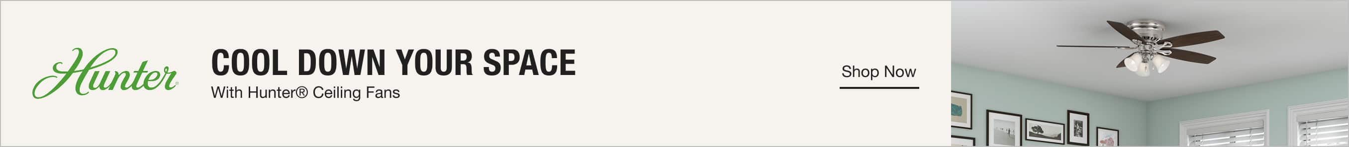 Hunter Fans Inspiring Style & Function