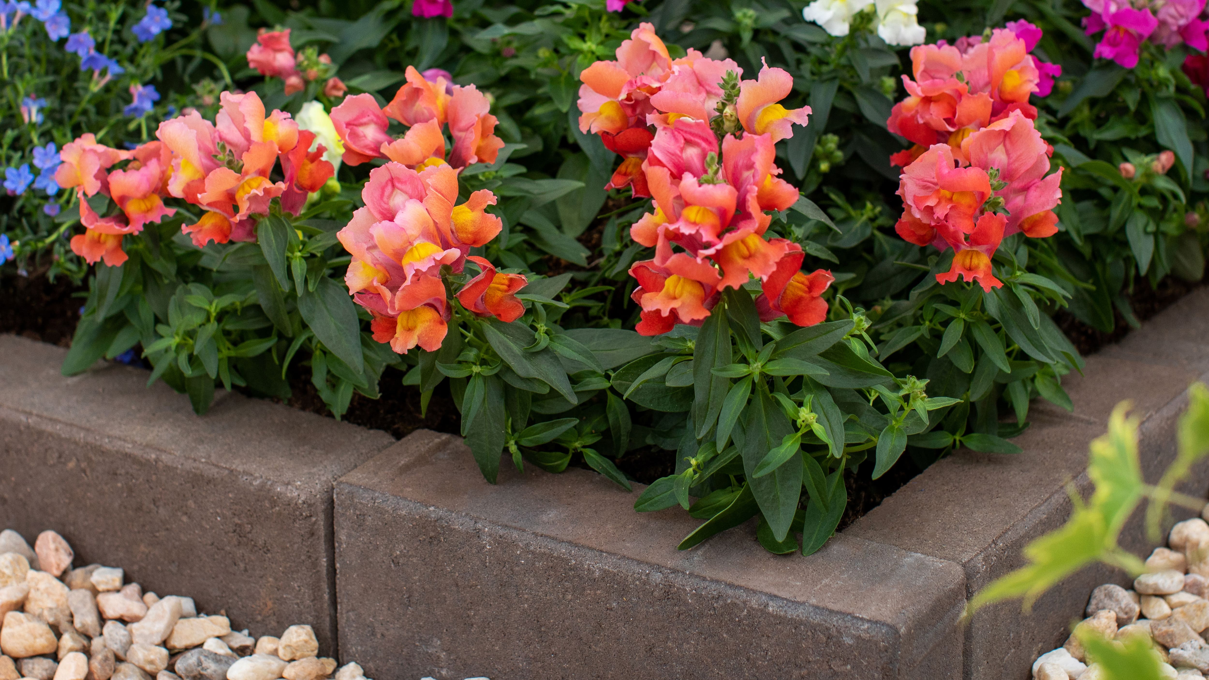 Image for New Arrivals