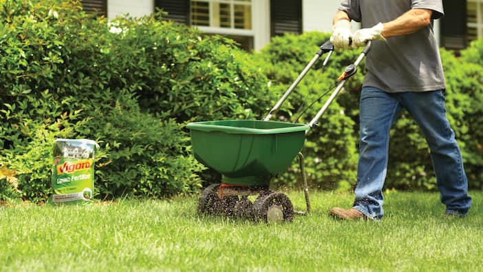Best Lawn Fertilizer for Your Yard