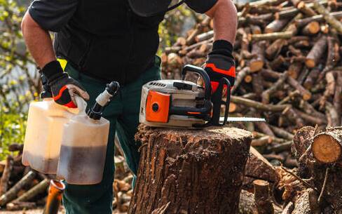Chainsaw Safety: Safety Features and Maintenance - Alabama Cooperative  Extension System
