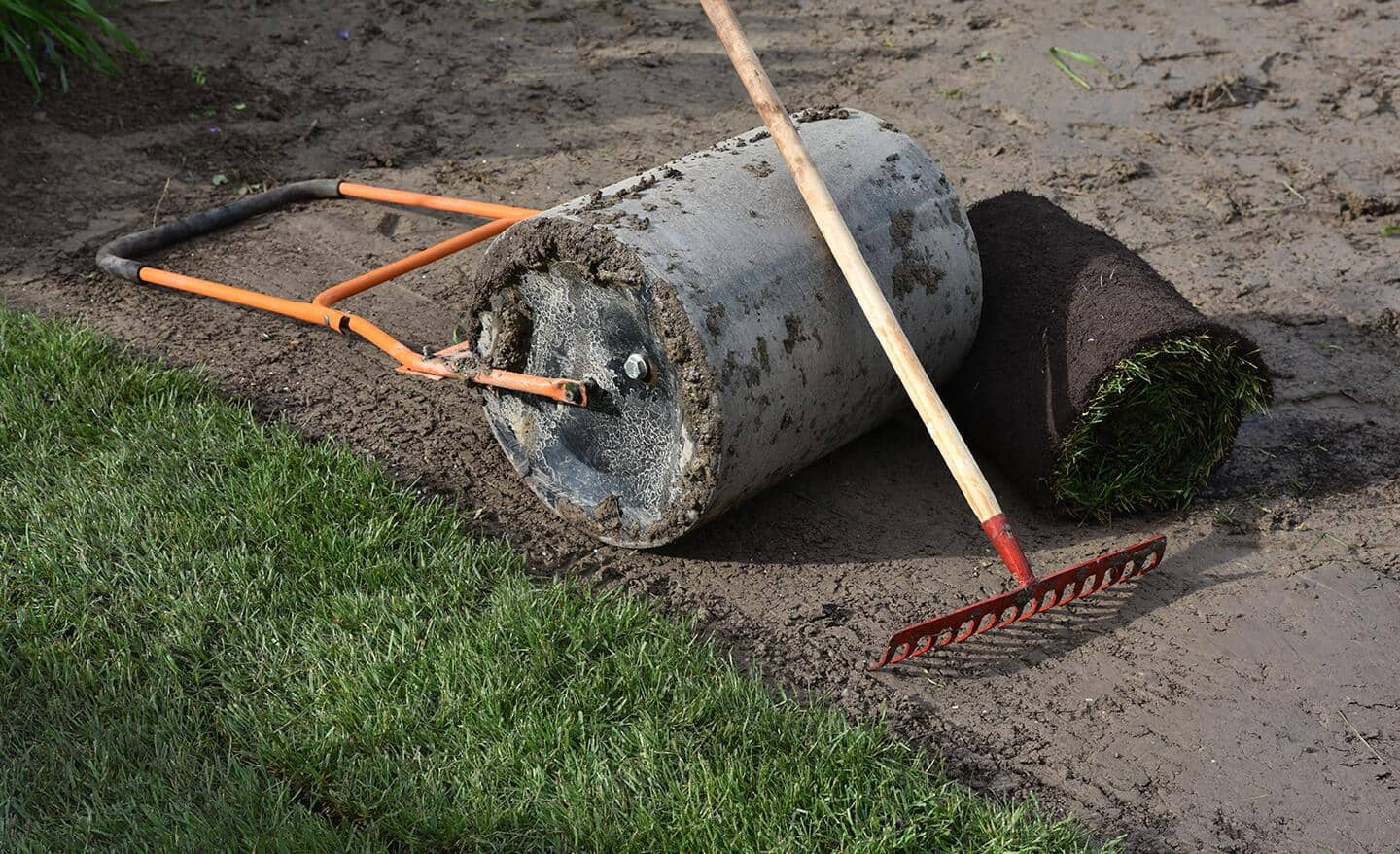 A bare patch of lawn with a roller, roll of sod and a rake.