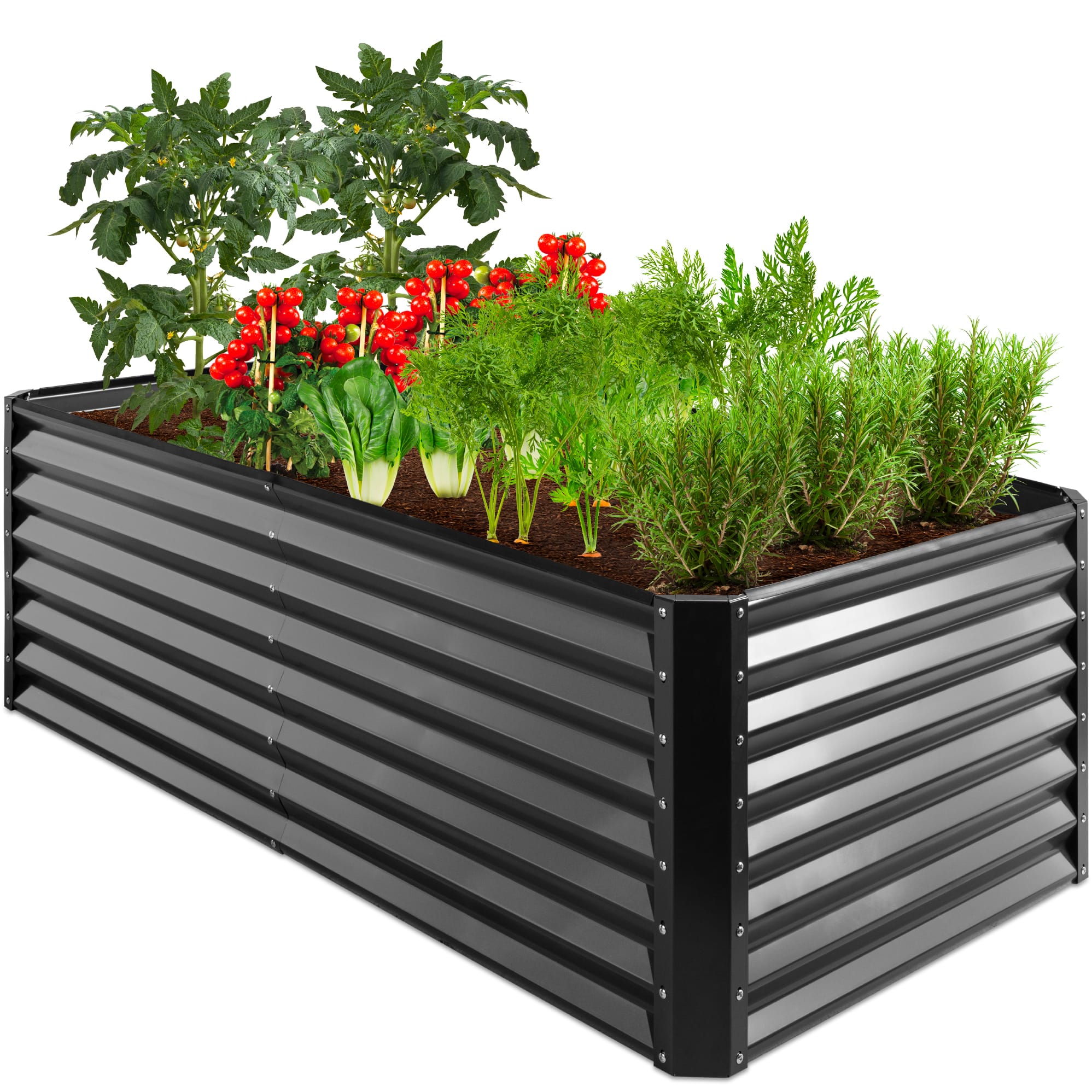 Image for Raised Garden Beds