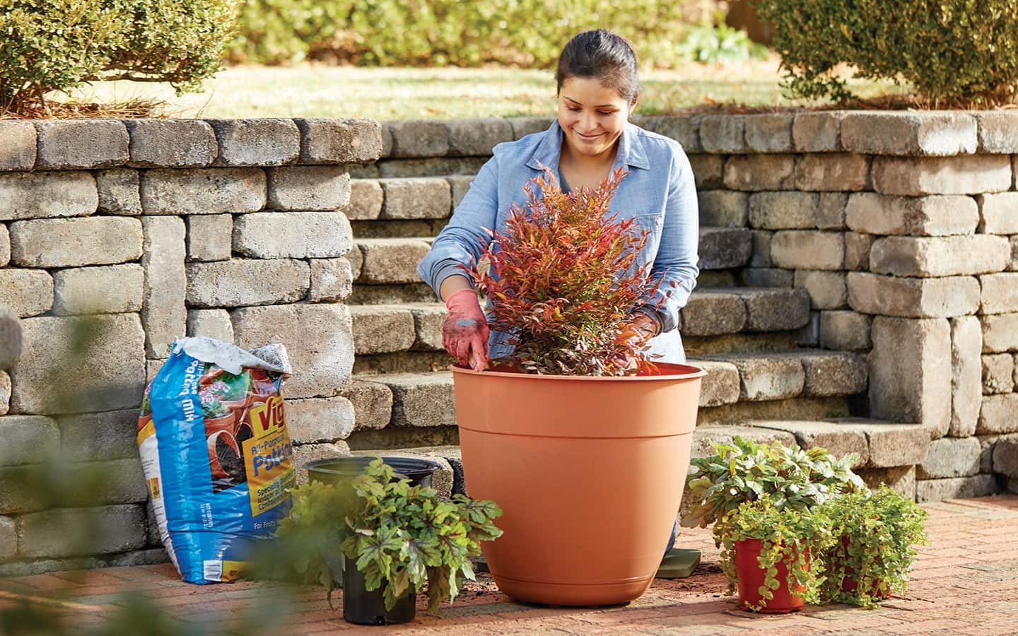 Person plants a shrub in a planter with more plants and a bag of potting soil nearby Person plants a shrub in a planter with more plants and a bag of potting soil nearby