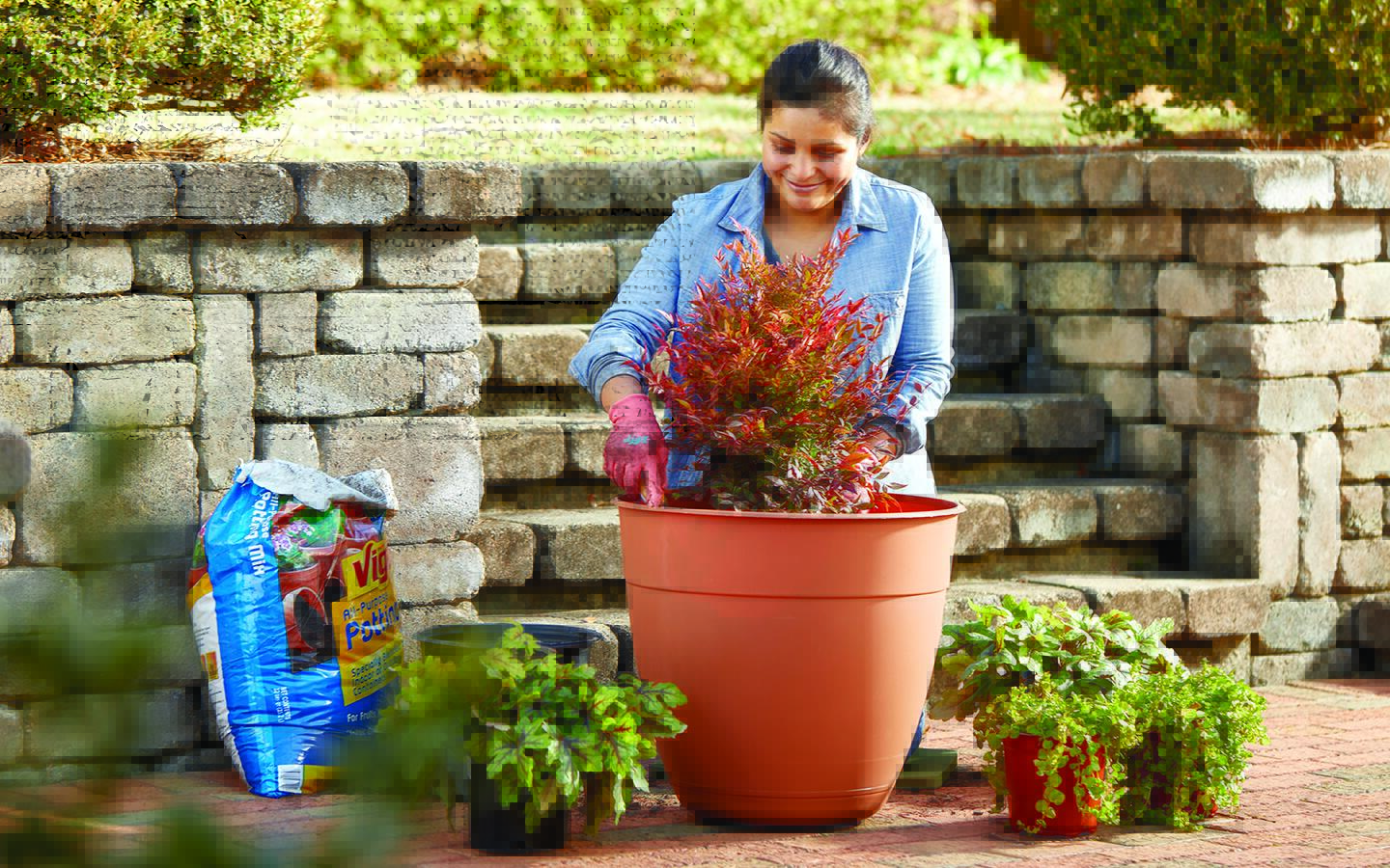 3 Keys to Fall Container Garden Success