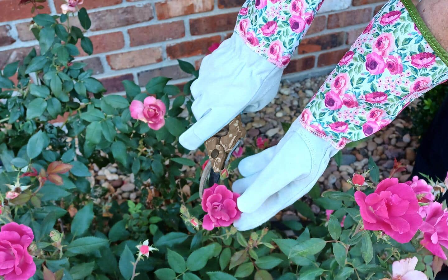 gardeners gloves Womanswork: Goatskin Glove