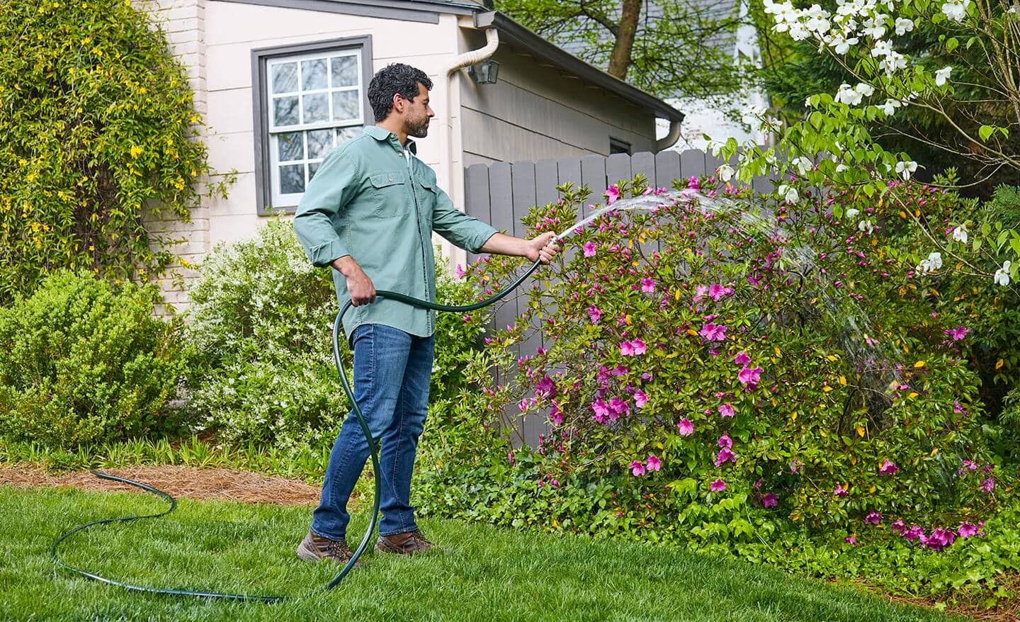Man holding a hose and watering shrubs and lawn