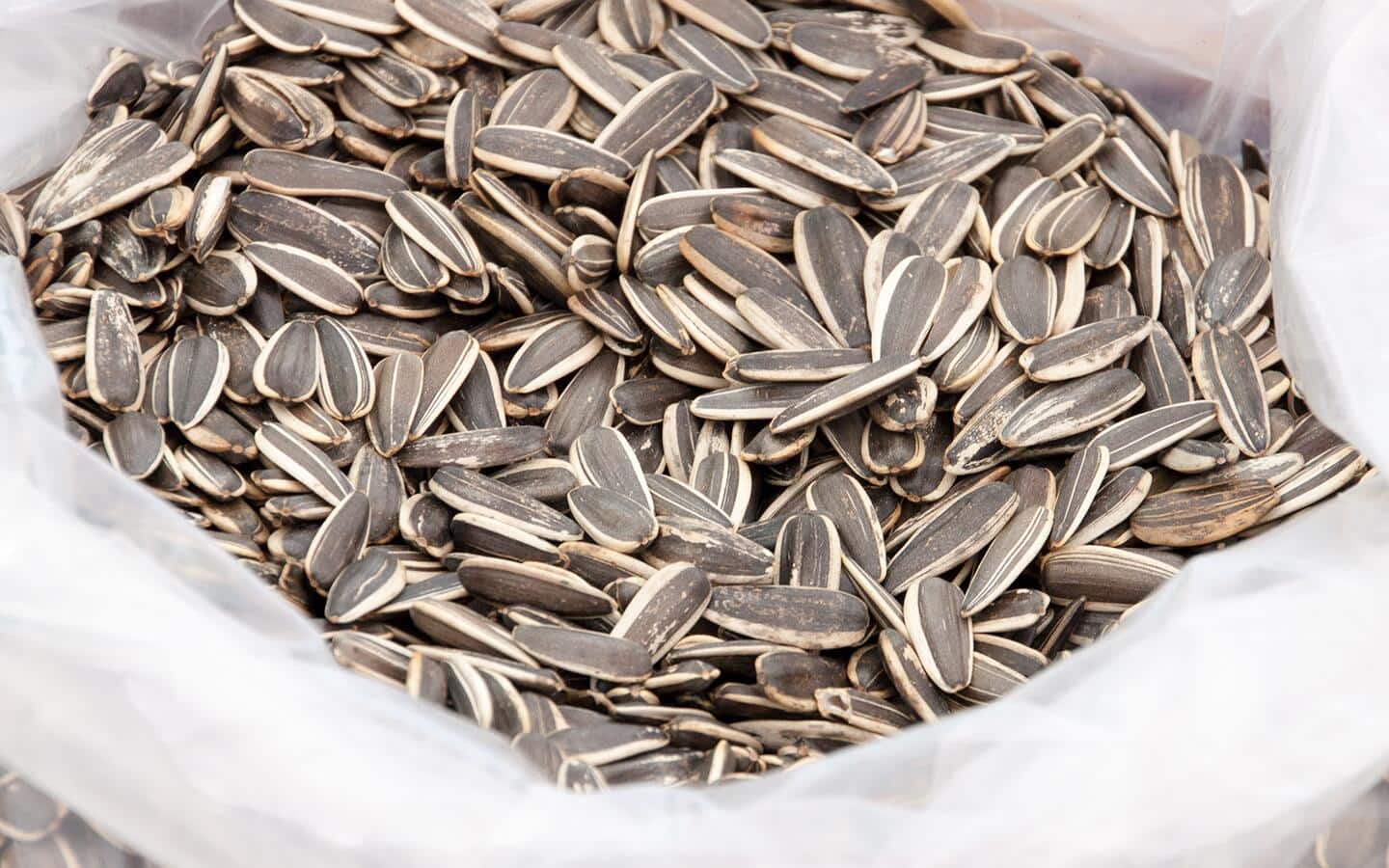 A plastic bag full of striped sunflower seeds.