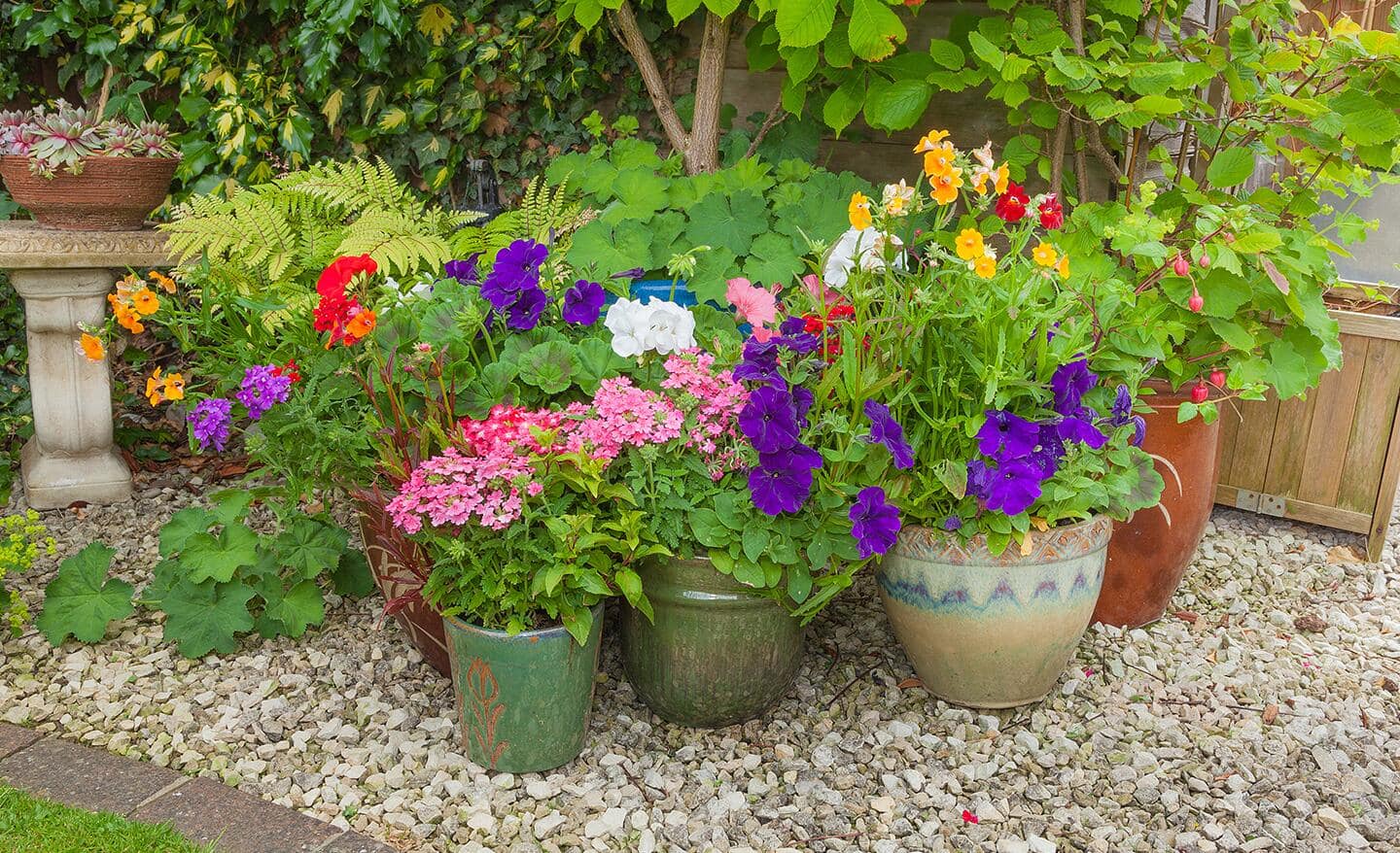 Containers filled with flowers on a gravel garden bed