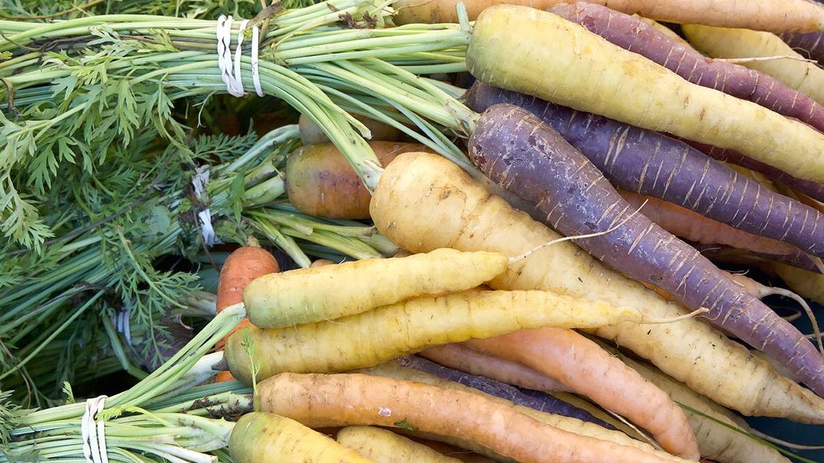 How to Grow Carrots