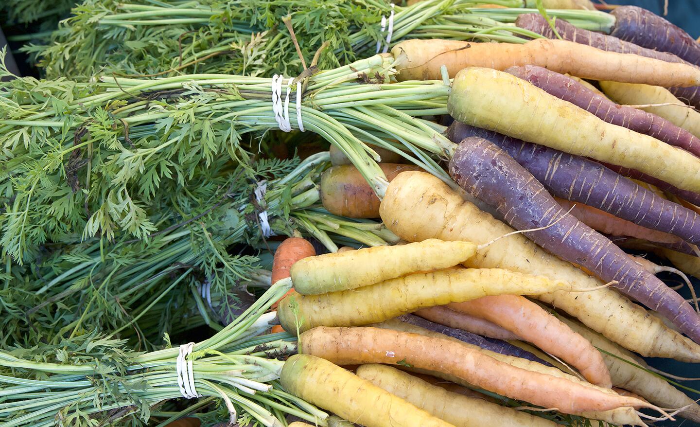 How to Grow Carrots