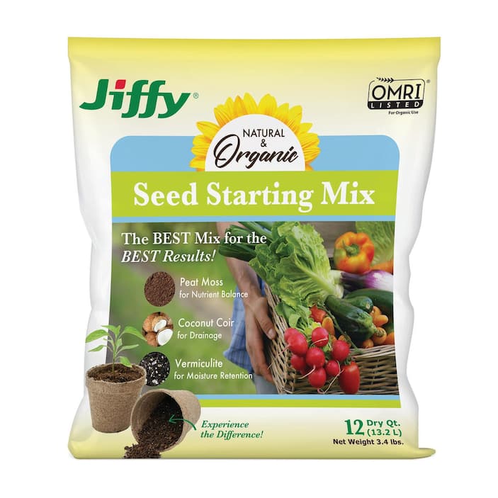 Plant Seeds