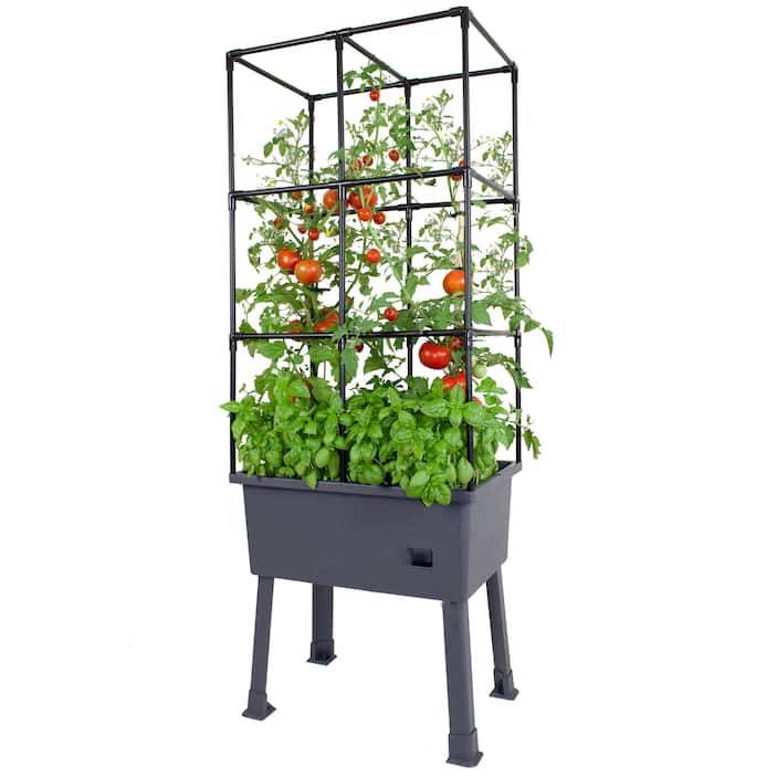 Self-Watering