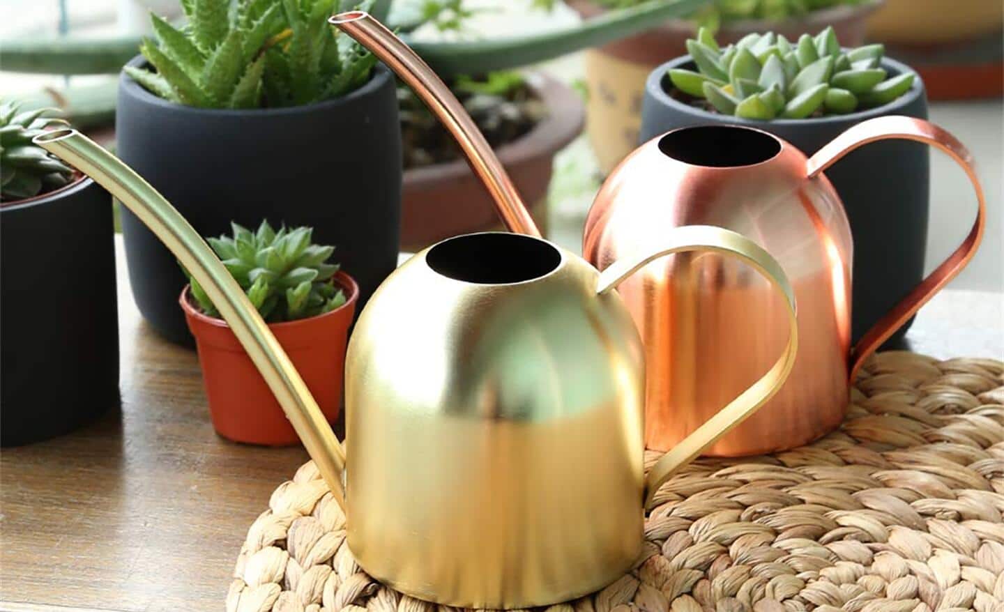 A gold watering can and a copper watering can with succulents in a sunny window