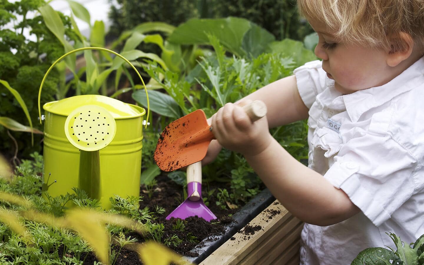 A child digs in a garden with a child-sized trowel and shovel, with a small watering can nearby A child digs in a garden with a child-sized trowel and shovel, with a small watering can nearby