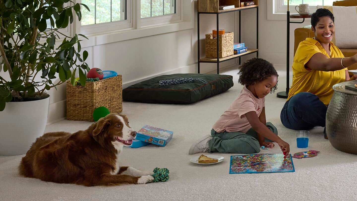 Best Carpet for Pets