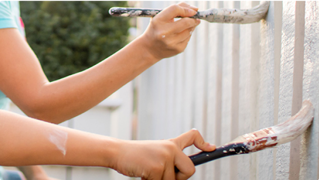 Best Exterior Paint for Your Home