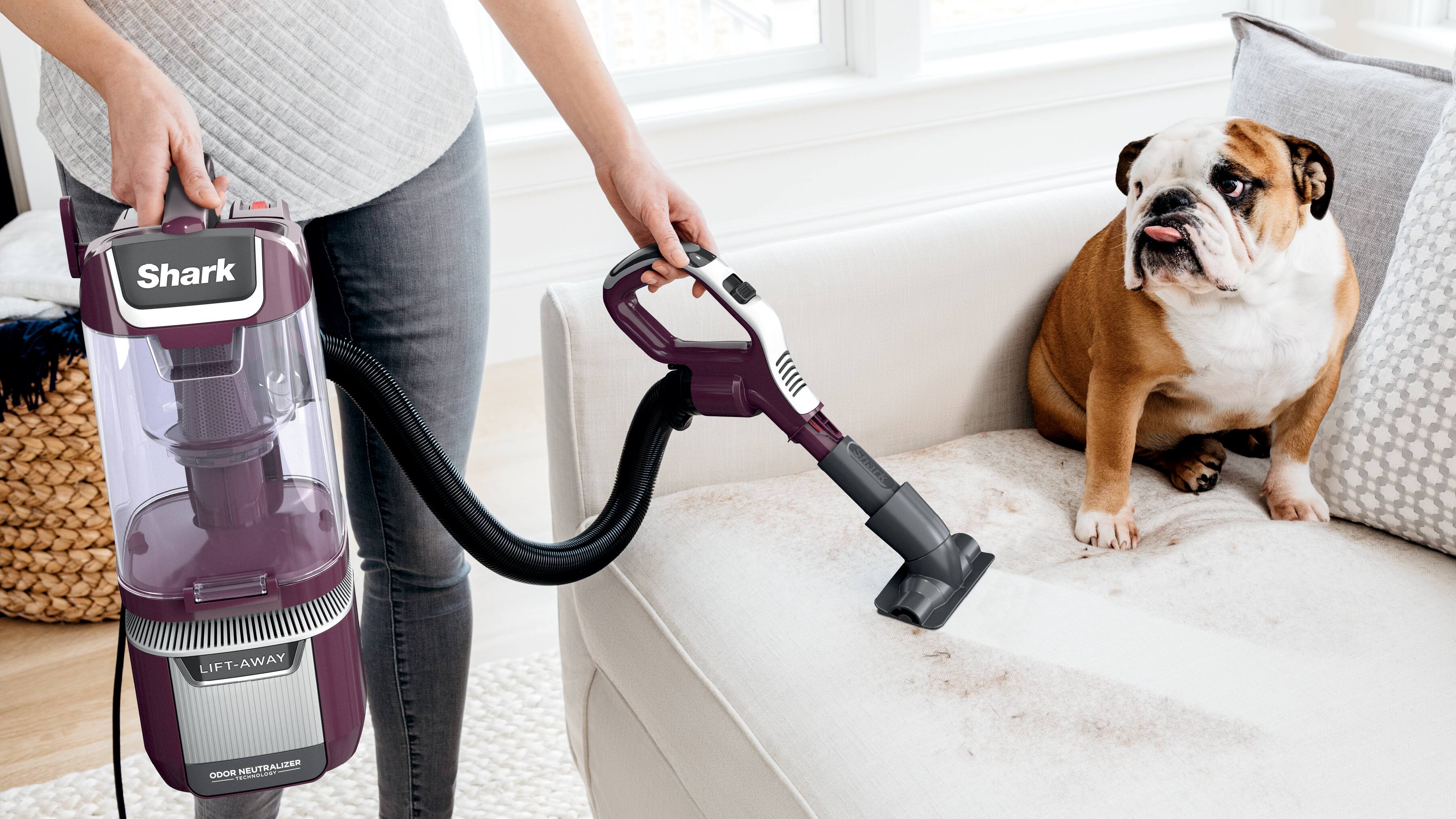 Vacuums for Pet Owners
