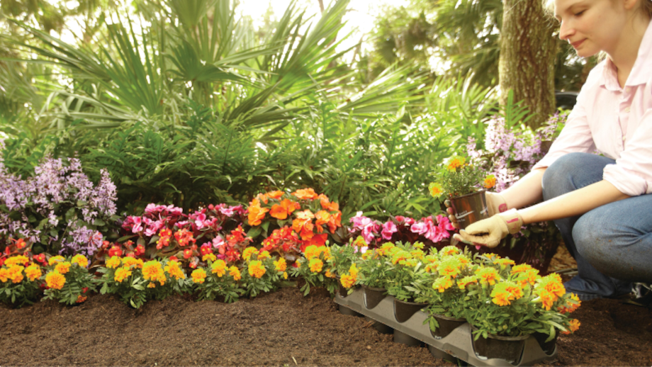 MAKE YOUR GARDEN BURST WITH COLOR
