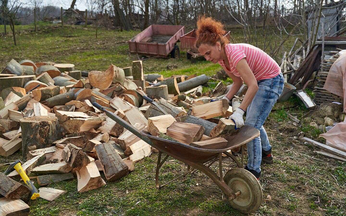 A person puts split logs into a wheelbarrow.