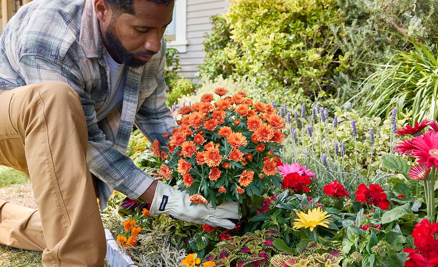 A person pants annual flowers in a garden bed. A person pants annual flowers in a garden bed.