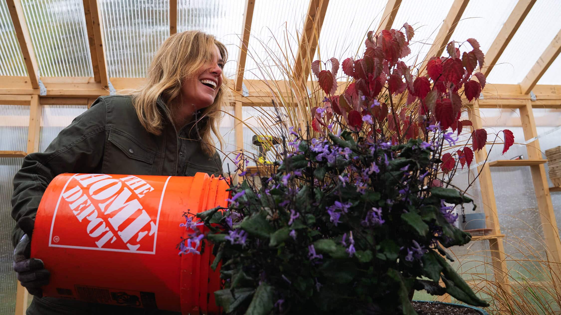 Image for Let’s Get Growing