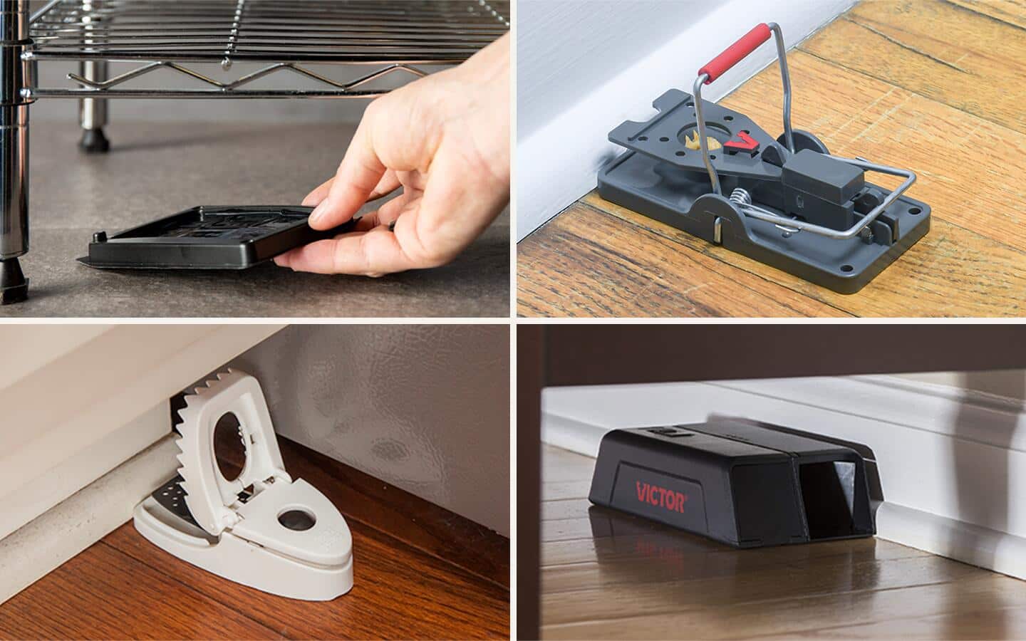 Various types of traps that get rid of mice. Various types of traps that get rid of mice.