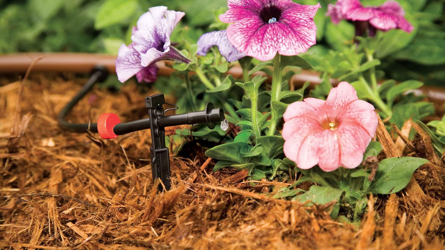 Image for DRIP IRRIGATION KITS