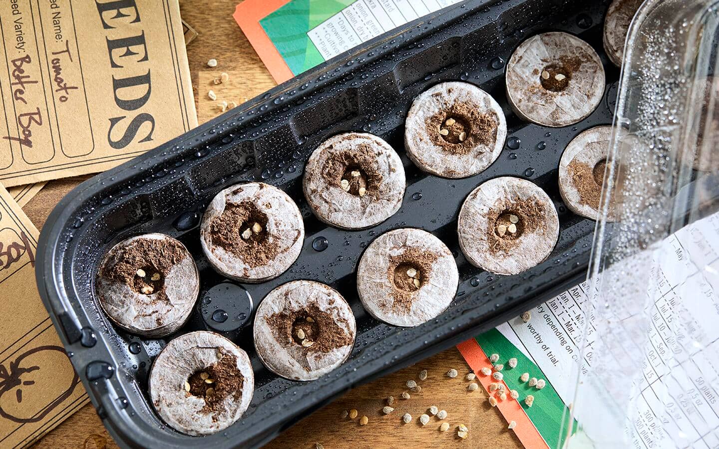 A seed starter kit filled with seed pellets and seeds