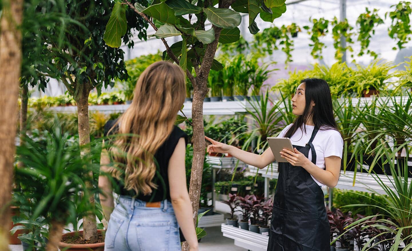 Two women looking at a tree in a plant nursery