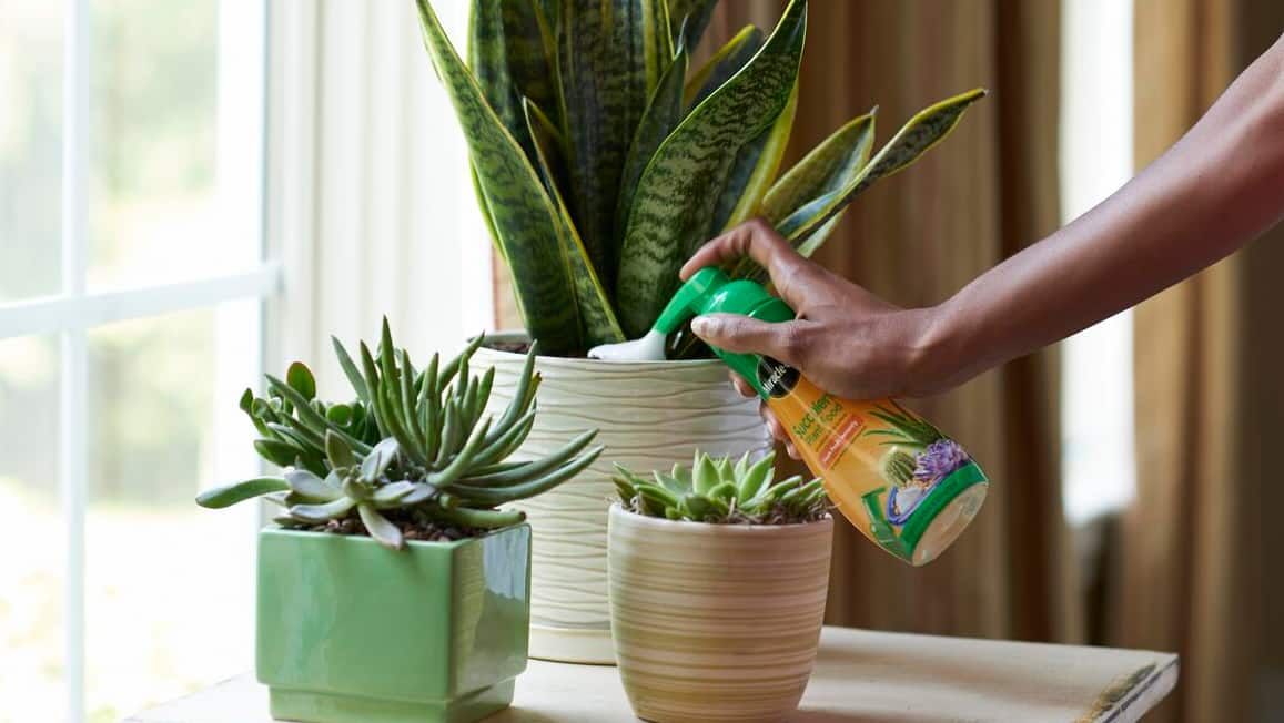 Image for Grow Plants & Manage Pests