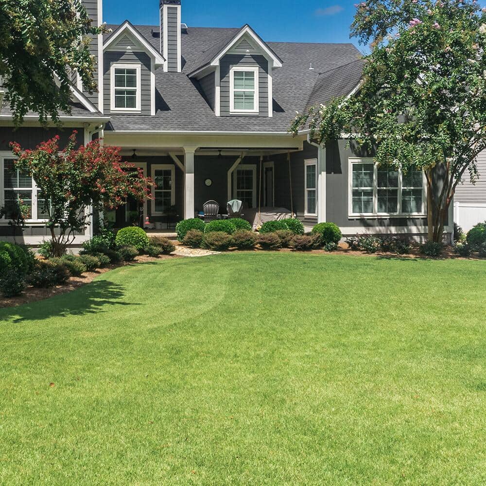 How to Plant the Lawn of Your Dreams