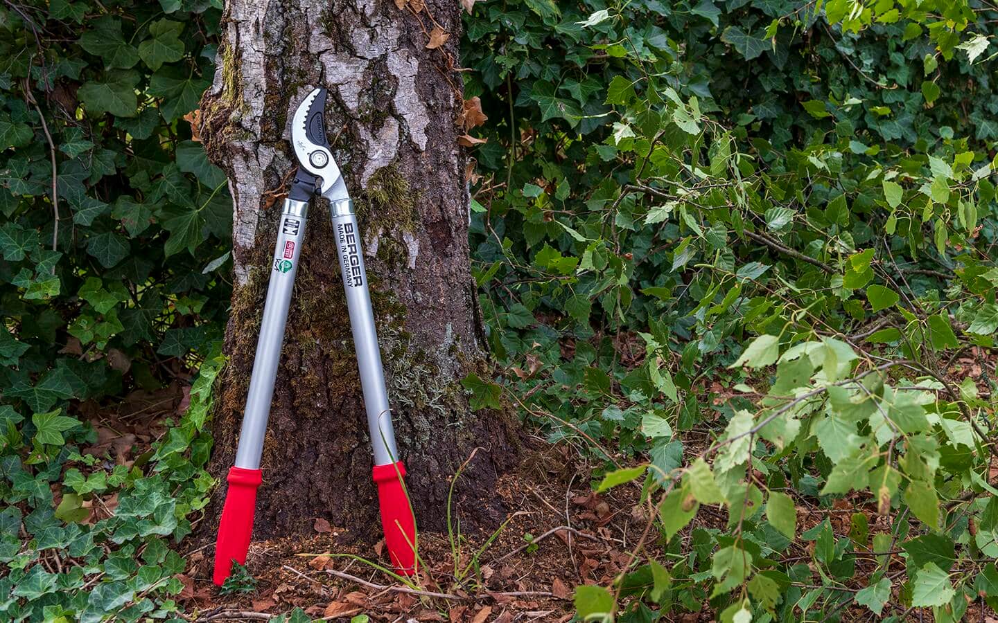 A pair of loppers with red handles rests against a tree.