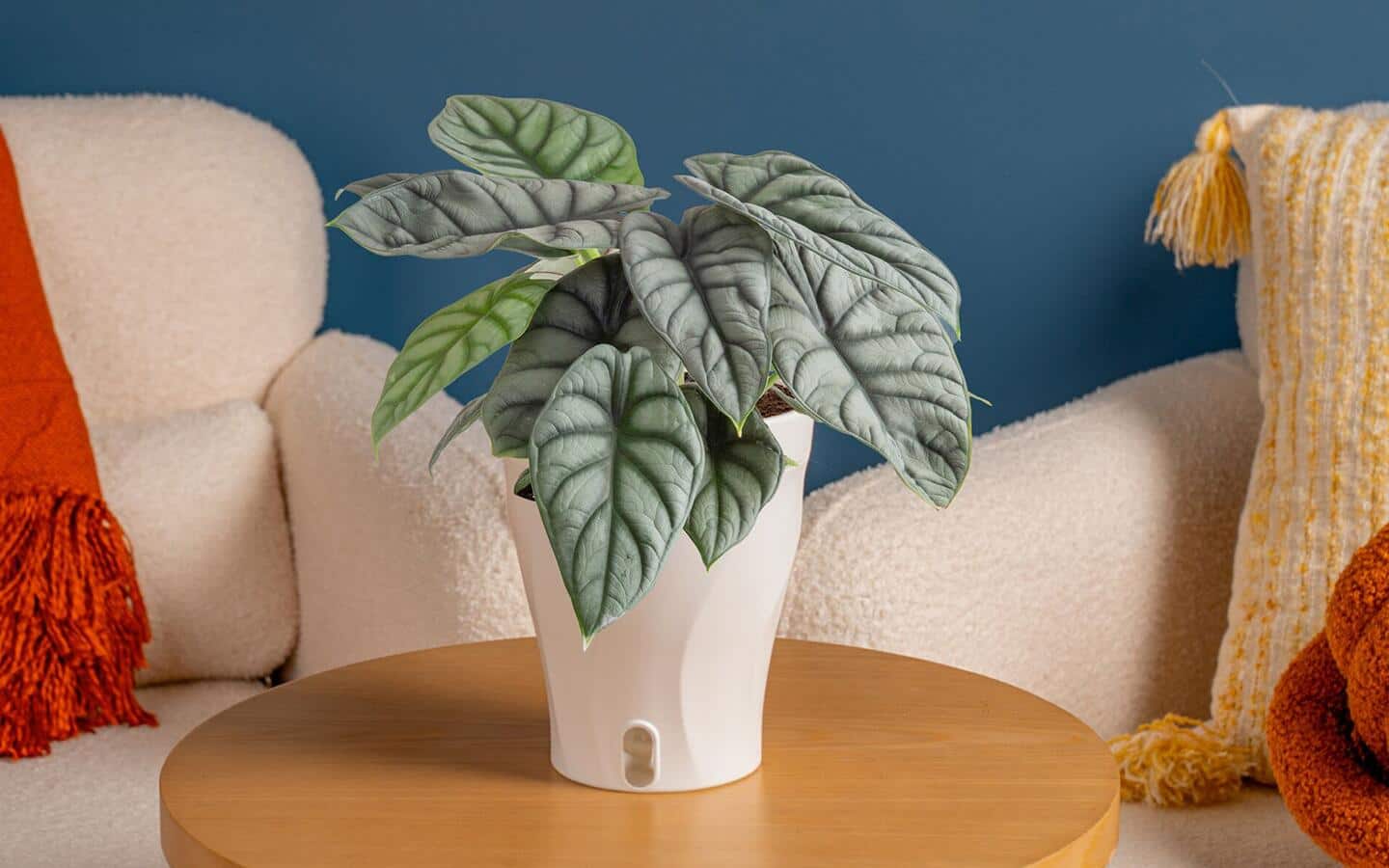 plant hanger stand indoor The PlanterPole™ Plant Stand and Hanger