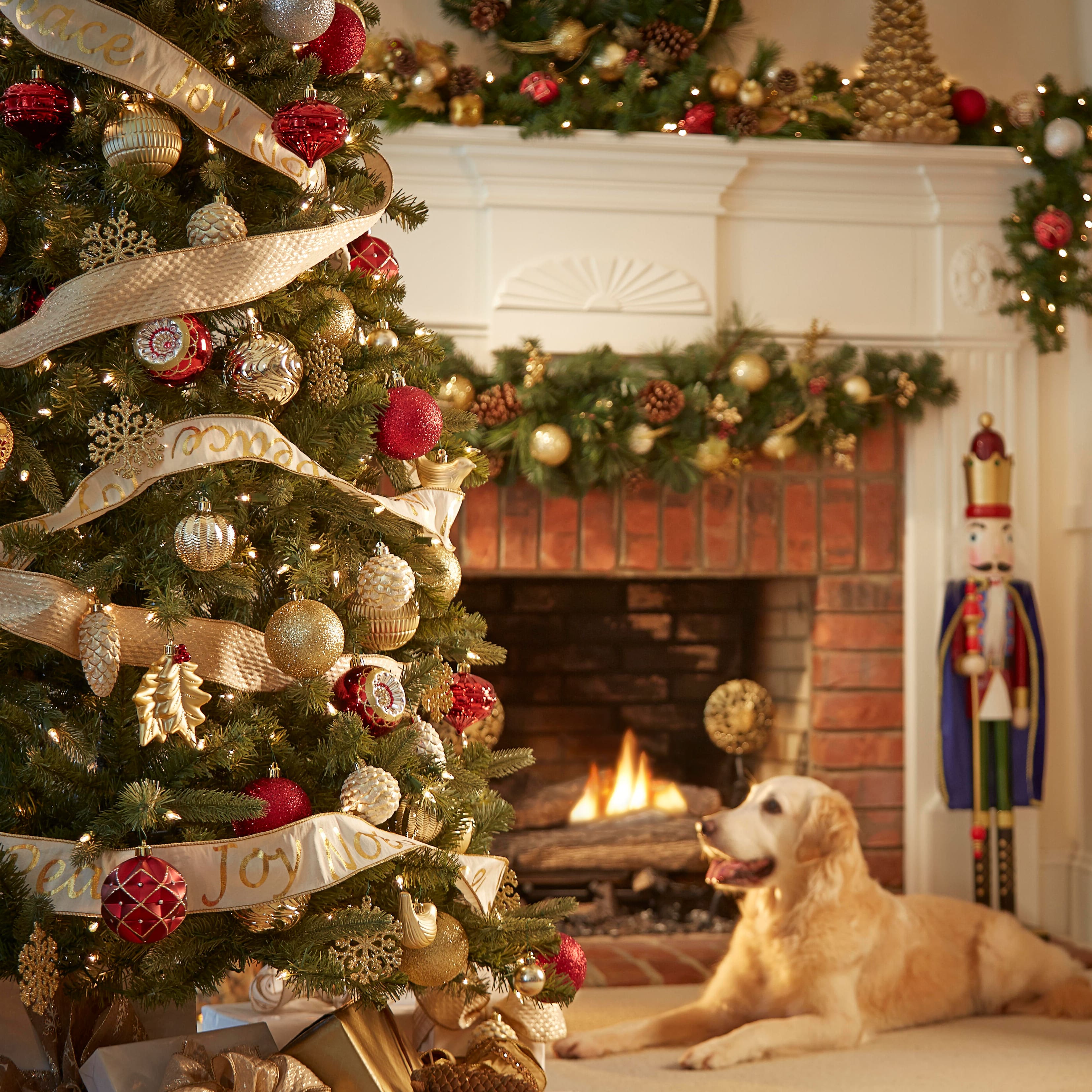 Image for Shop Christmas Decorations