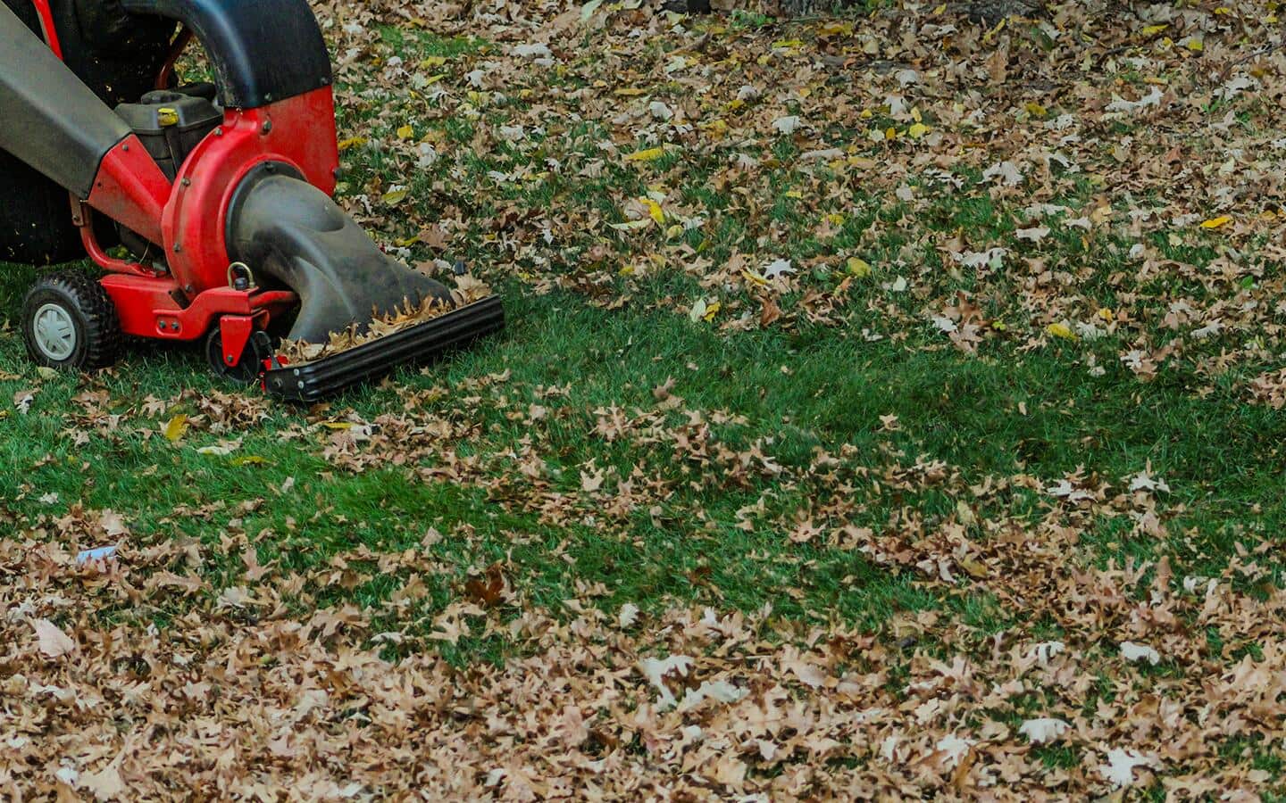 A leaf shredder mowing over leaves in a yard