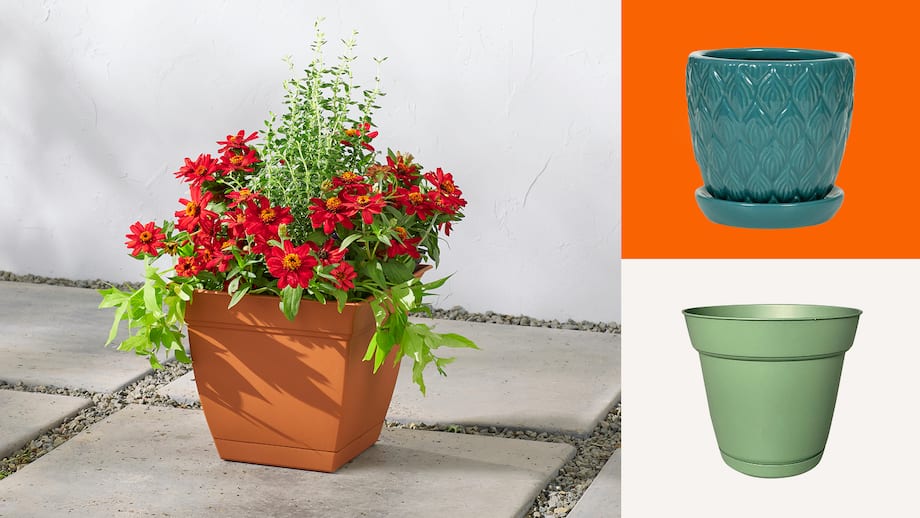 PLANTERS UNDER $10