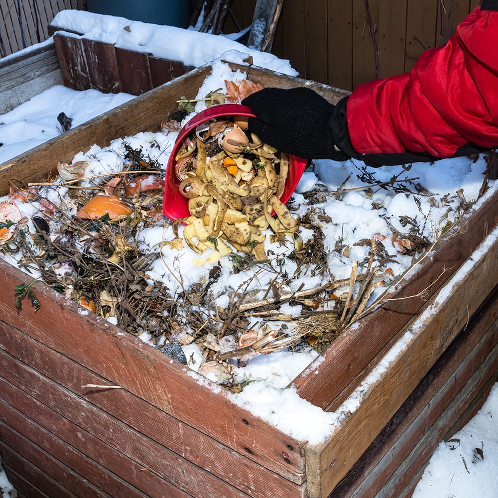 How to Compost in Winter
