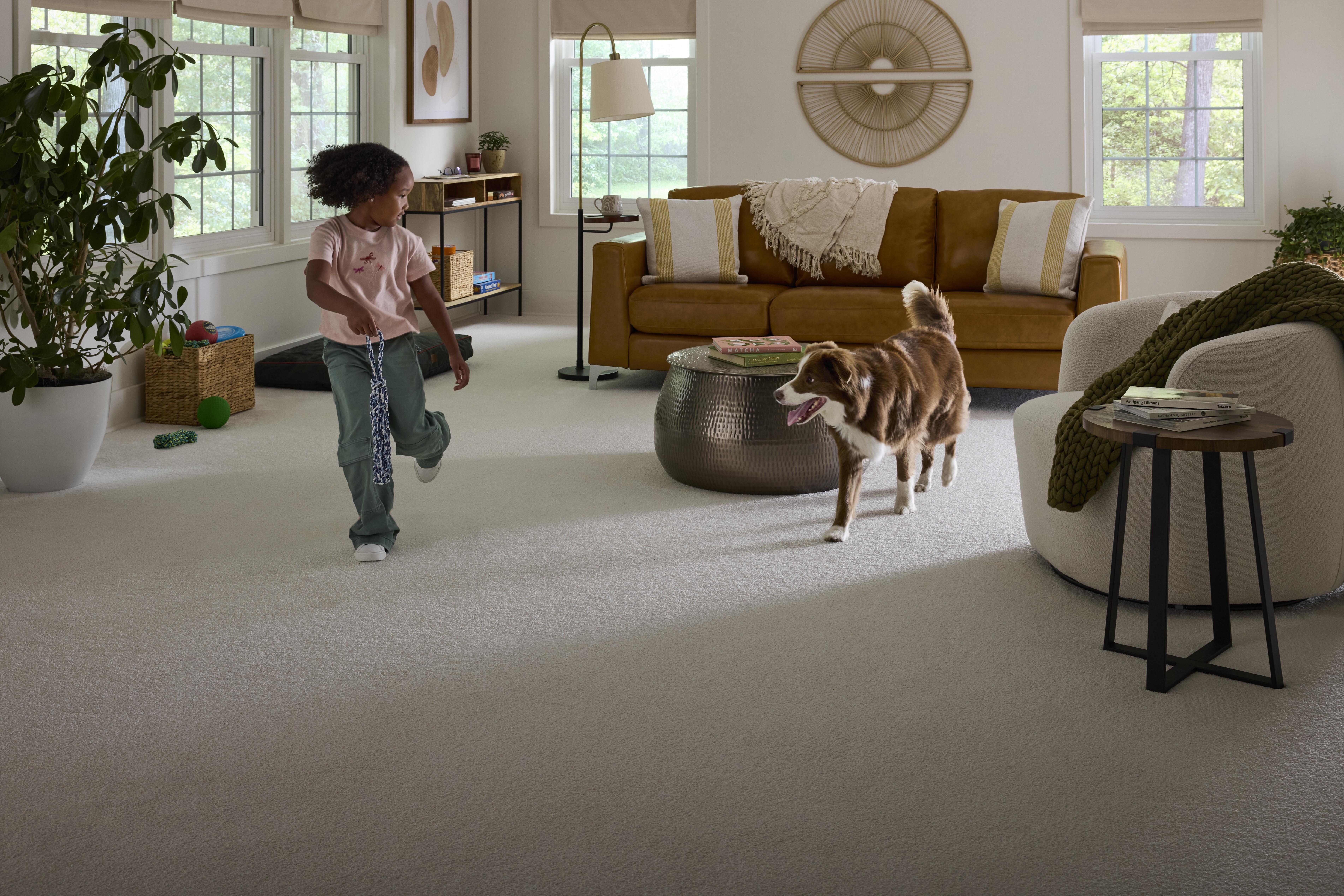 Image for Ready For Life's Toughest Stains