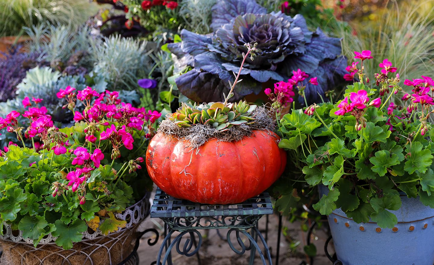 Image for SAME-DAY DELIVERY