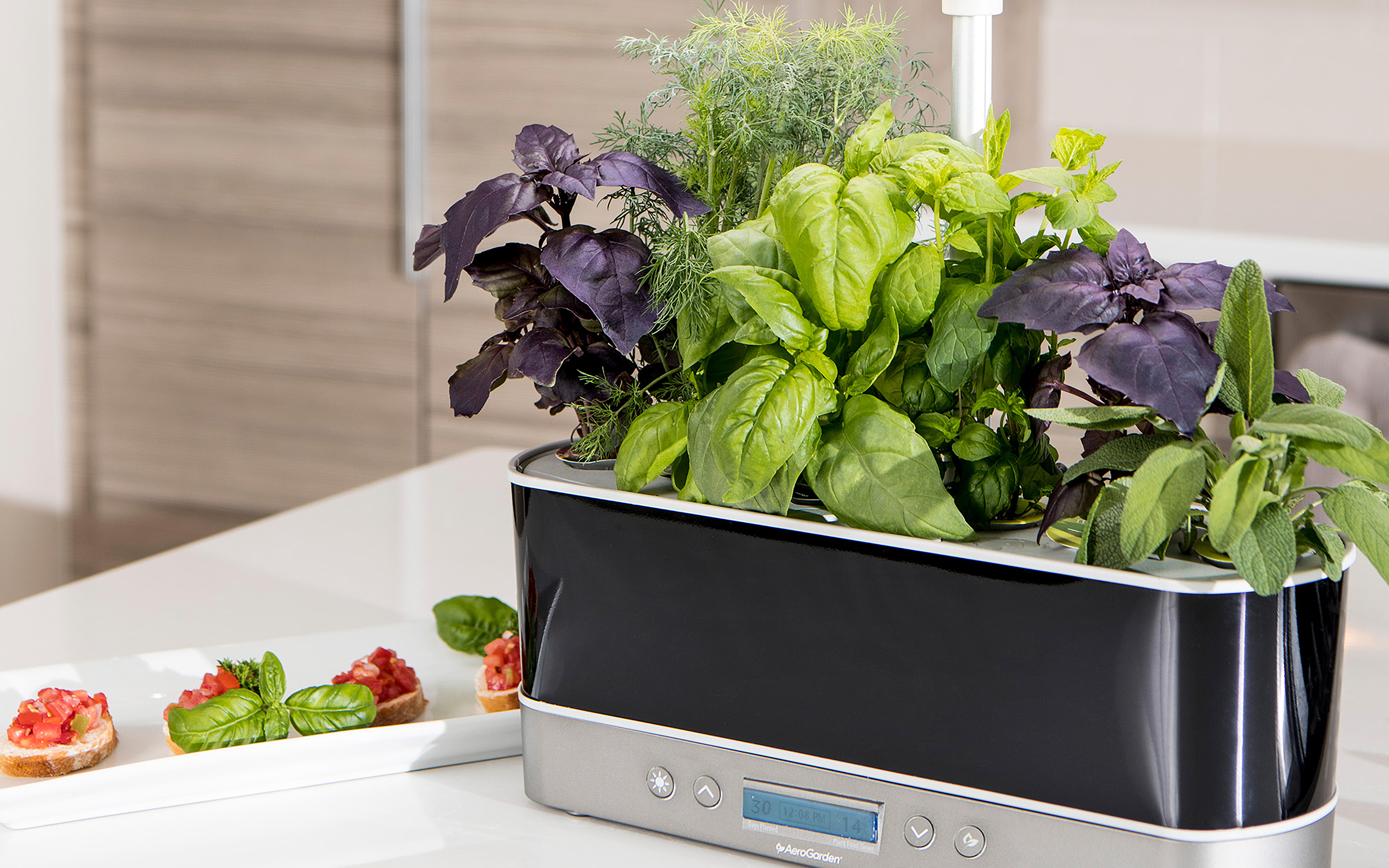 How to Grow an Indoor Hydroponic Garden